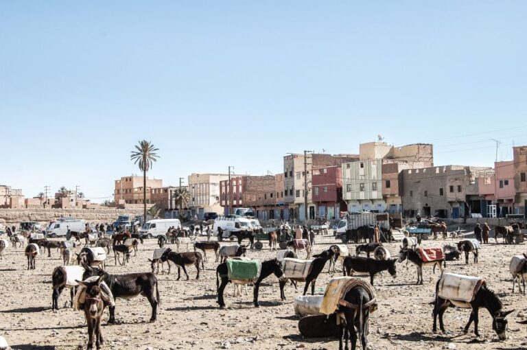 From Marrakech : 6 Days Sahara Desert Tour & Camel Ride