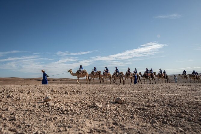 From Marrakech: Agafay Desert Camel Experience