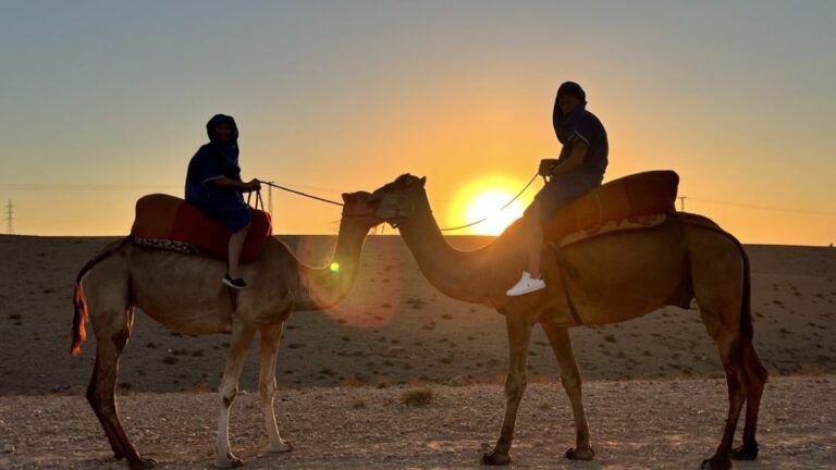 From Marrakech: Agafay Desert Camel Ride and Dinner Show