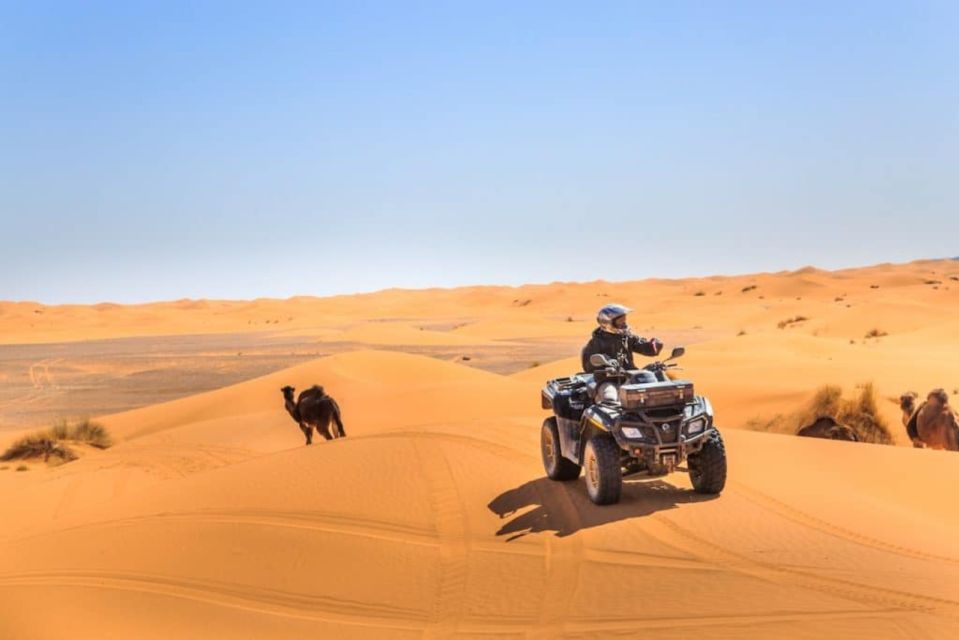 1 from marrakech agafay desert dinner with quad or camel ride From Marrakech: Agafay Desert Dinner With Quad or Camel Ride