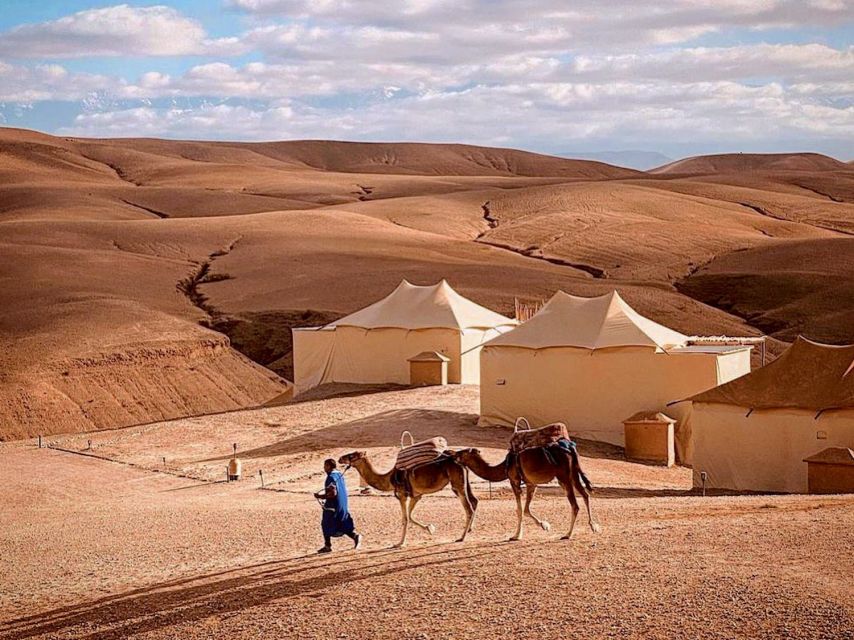 From Marrakech: Agafay Desert Sunset Camel & Dinner - Key Points