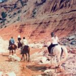 1 from marrakech atlas mountains 45 minute horseback ride From Marrakech: Atlas Mountains 45-Minute Horseback Ride