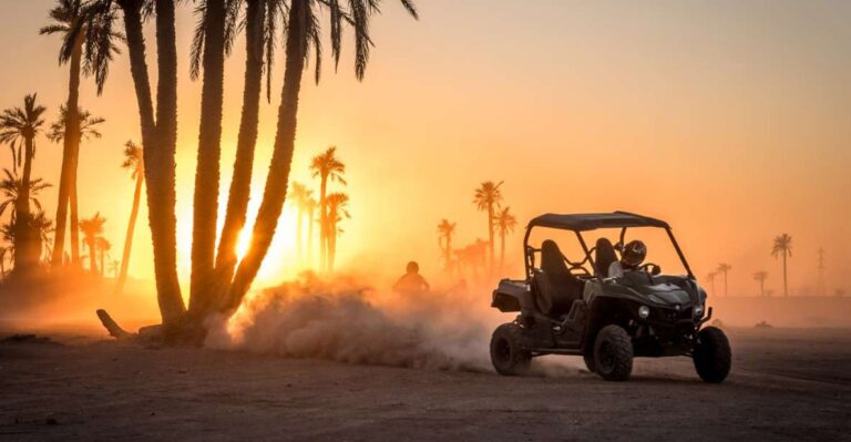 From Marrakech : Buggy Ride in the Palm Groves