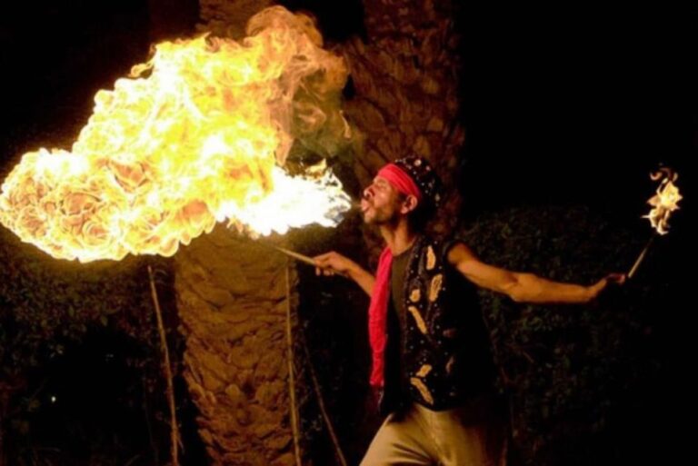 From Marrakech: Camel Ride Sunset Dinner and Show Desert