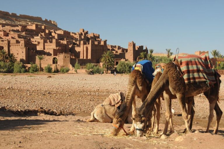 From Marrakech : Day Trip From Marrakech to Ait Benhaddou
