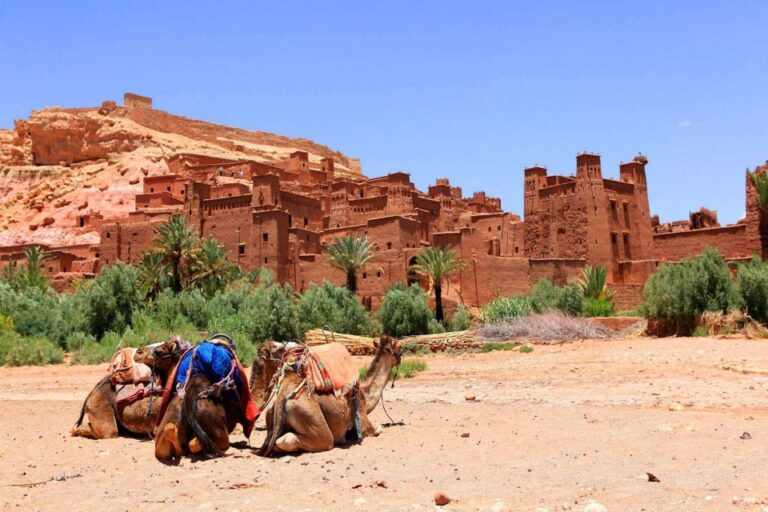 From Marrakech : Day Trip to Ait Benhaddou and Ouarzazate