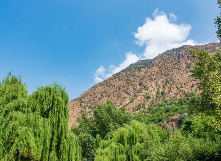 From Marrakech: Day Trip to Ourika Valley