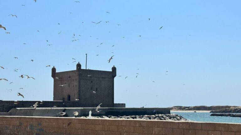From Marrakech: Essaouira Full-Day Trip With Wine & Lunch