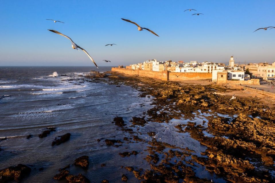 From Marrakech: Essaouira Private Full-Day Trip