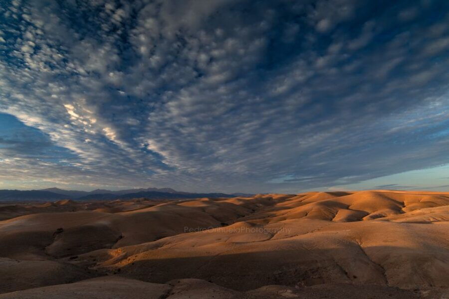 From Marrakech: Magical Sunset and Desert Dinner at Agafay