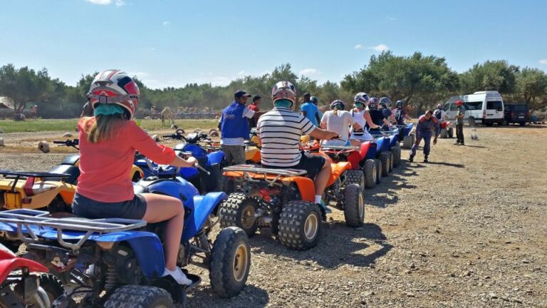 From Marrakech : Palm Grove Quad Bike Tour