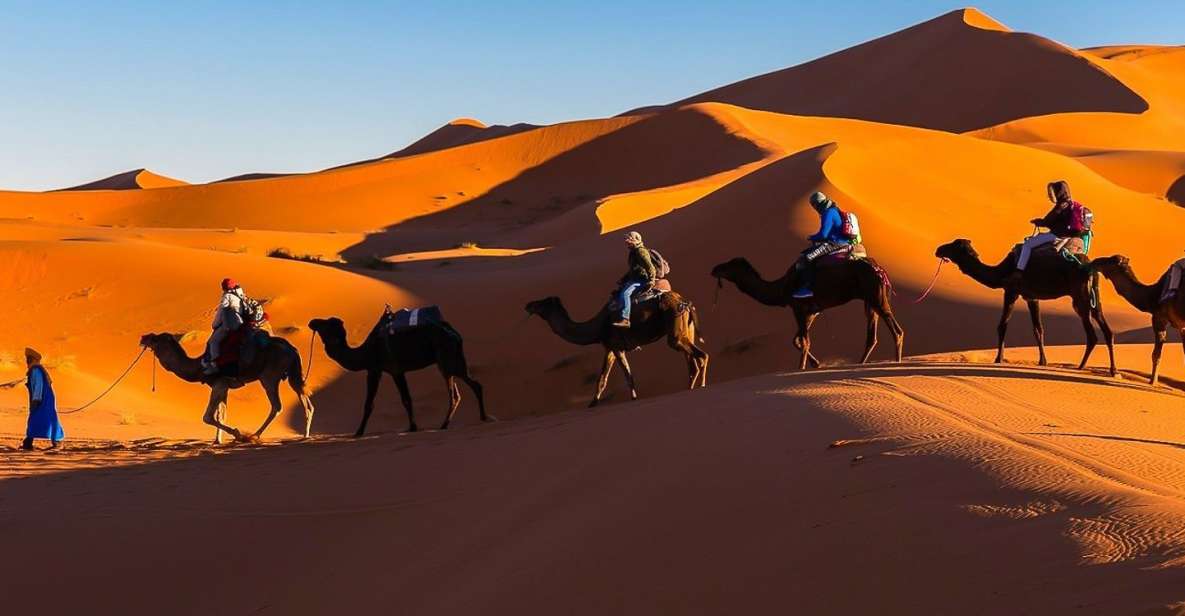 From Marrakech: Private 3-Day Desert Trip to Merzouga - Experience Highlights