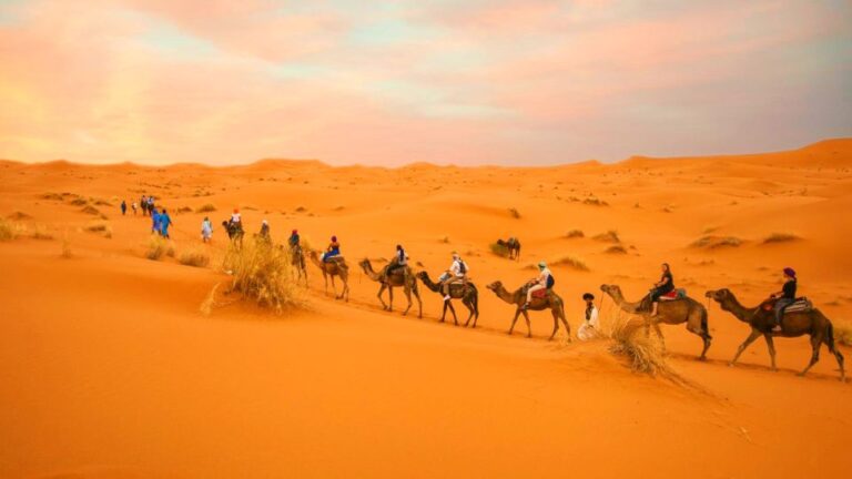 From Marrakech: Private 3-Day Tour to Fes via Merzouga