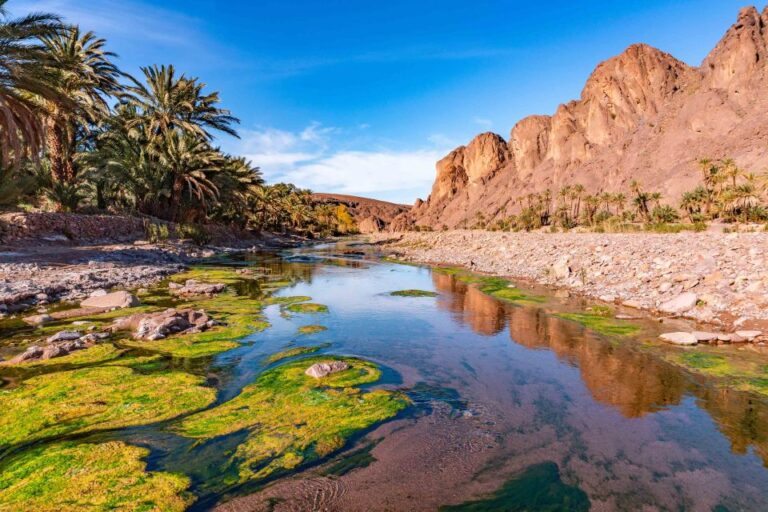 From Marrakech: Private 4 Day Desert Tour and Camel Ride