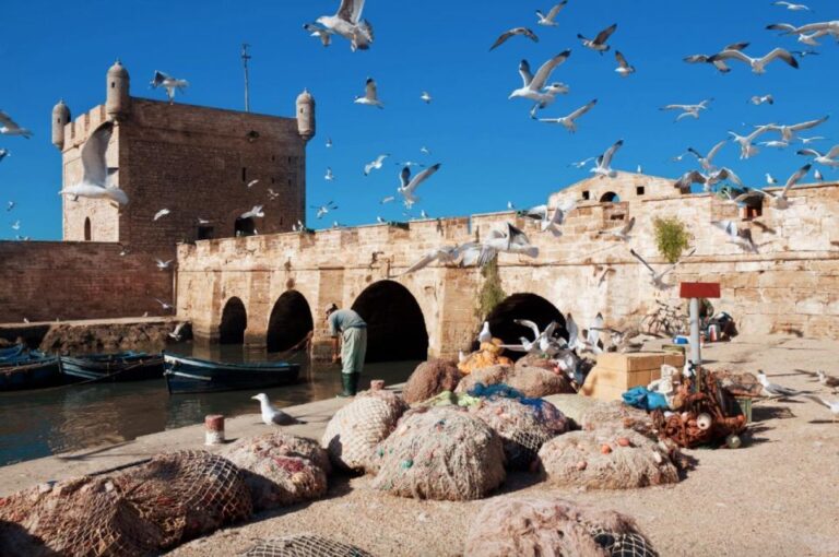 From Marrakech: Private Day Trip To Essaouira Mogador