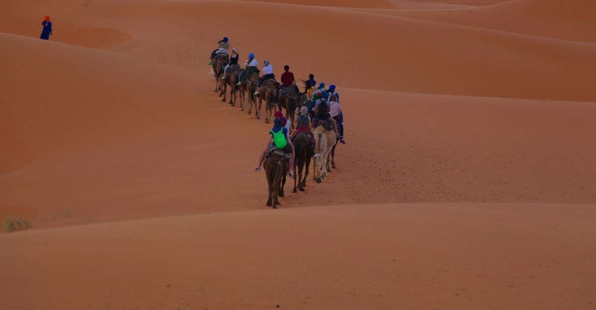 From Marrakech: Sahara Desert 3-Day Group Tour - Customer Reviews