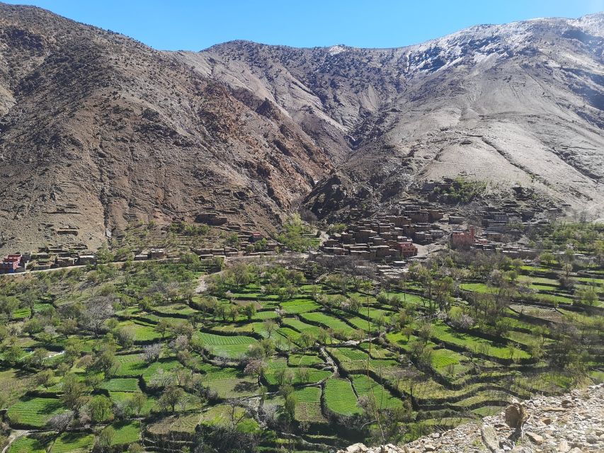 From Marrakech: Taoudja Summit Hike in the Atlas Mountain