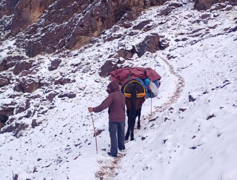 From Marrakech: Two Days MT Toubkal Hike