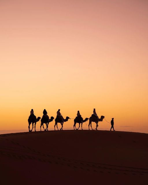 From Marrakech: Unforgettable 3-Day Desert Tour to Fes