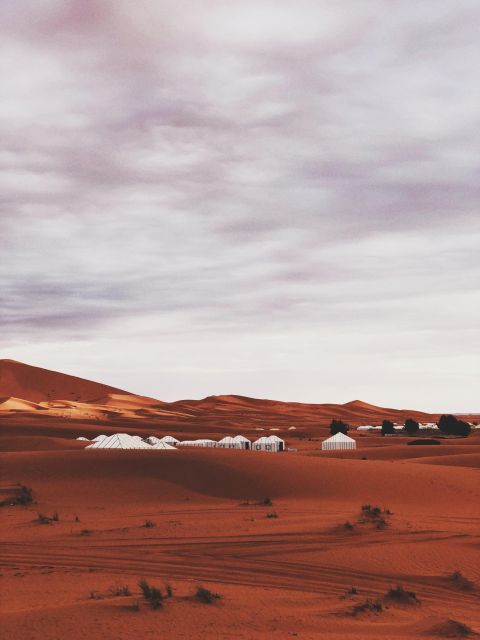 From Marrakech:3Day Desert Tour Ending In Fes &Sandboarding