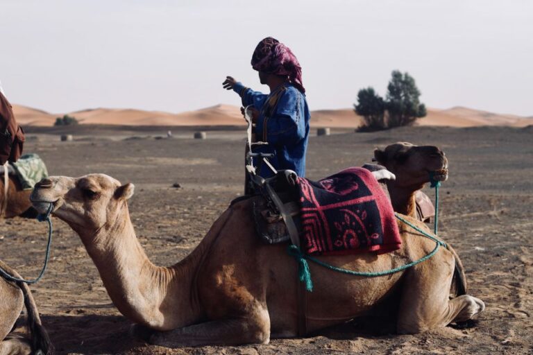 From Marrakesh: Agafay Desert Sunset and Camel Ride