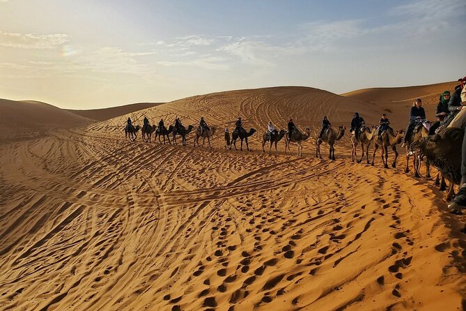 From Marrakesh to Fez: Embrace the Magic of the Desert in 3 Days