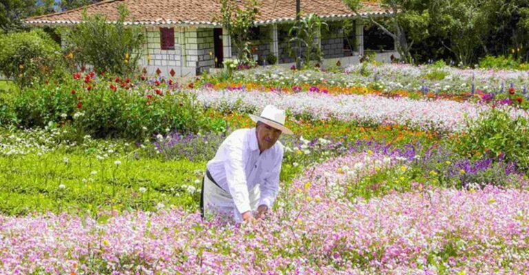 From Medellín: Colombian Flower Farm Private Full-Day Tour