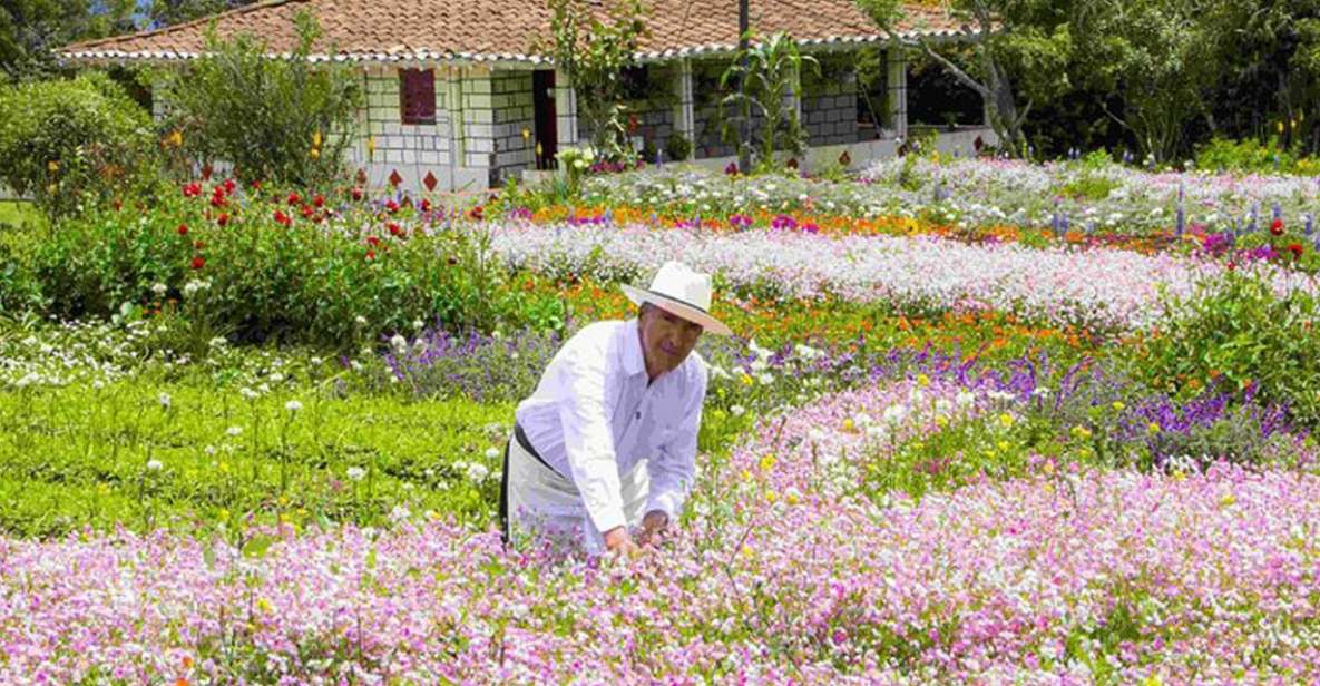 1 from medellin colombian flower farm private full day tour From Medellín: Colombian Flower Farm Private Full-Day Tour