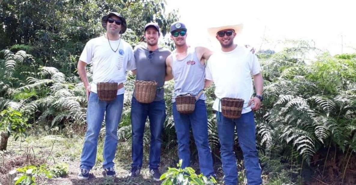 1 from medellin private envigado coffee tour with tastings From Medellin: Private Envigado Coffee Tour With Tastings