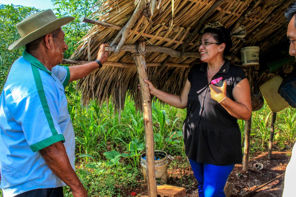 From Merida: Visit to Ek Balam Community & Cenote Tour