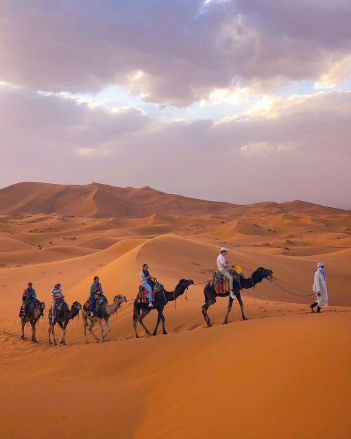 From Merzouga: Sunset Camel Ride & Sandboarding