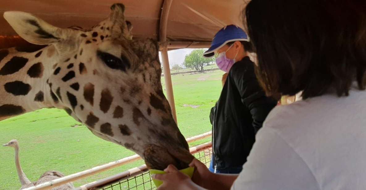 1 from mexico city teotihuacan tour reino animal for kids From Mexico City: Teotihuacan Tour & Reino Animal For Kids