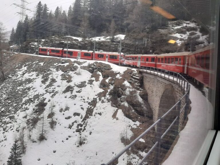 From Milan: Scenic Alps Day Trip With Bernina Train Ride