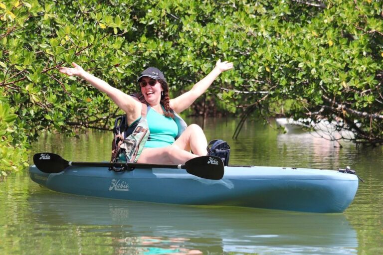 From Naples, FL: Marco Island Mangroves Kayak or Paddle Tour