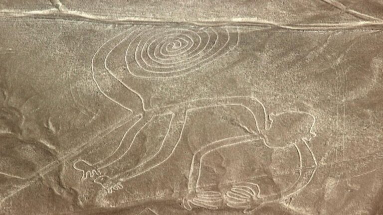 From Nazca: Flight in a Light Aircraft Over the Nazca Lines