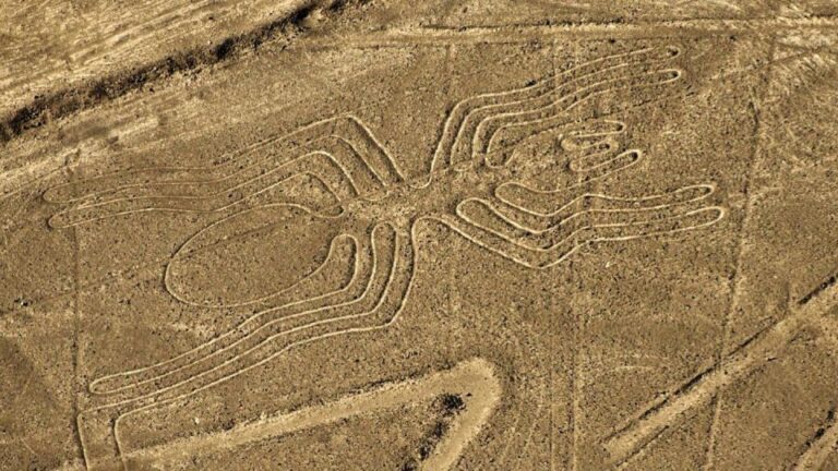 From Nazca: Small Plane Flight Over the Nazca Lines