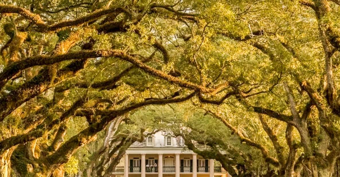 1 from new orleans oak alley plantation tour From New Orleans: Oak Alley Plantation Tour