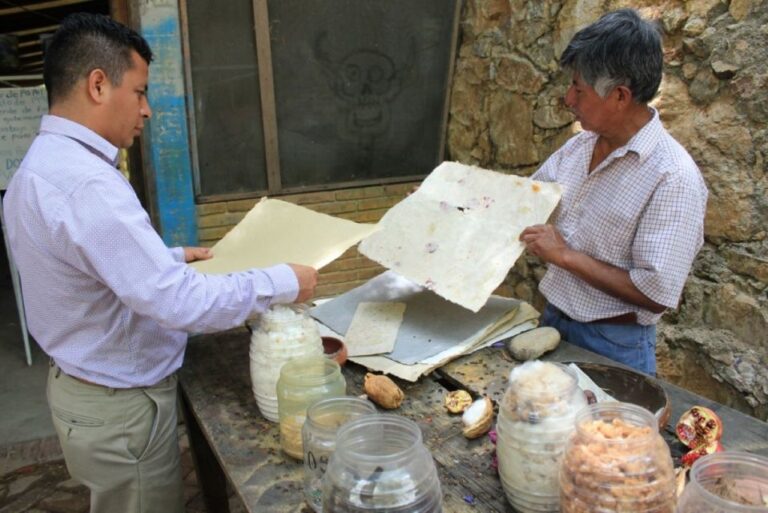 From Oaxaca: San Agustín Etla Quesillo and Papermaking Tour