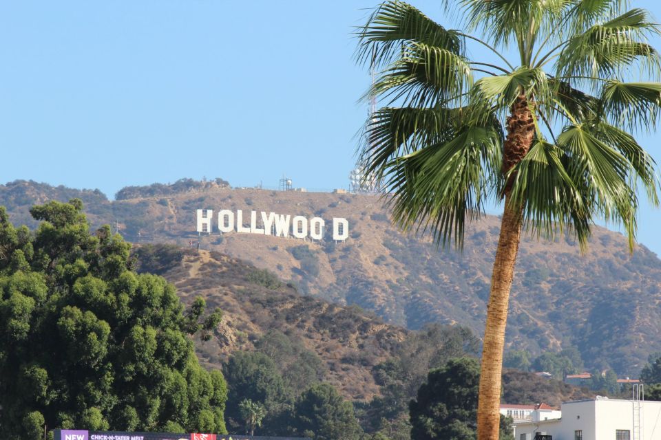 1 from orange county hollywood and beverly hills van tour From Orange County: Hollywood and Beverly Hills Van Tour