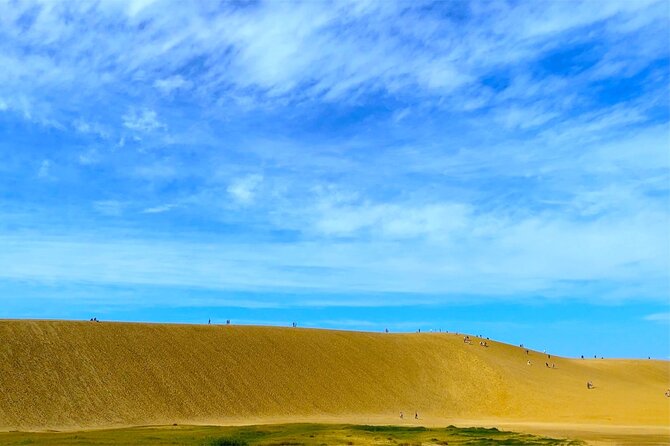 From Osaka: Tottori Sand Dunes Day Tour With English Guide