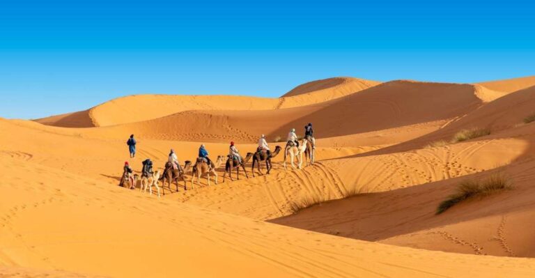 From Ouarzazate: Merzouga Sahara Desert Tour – 2 Days