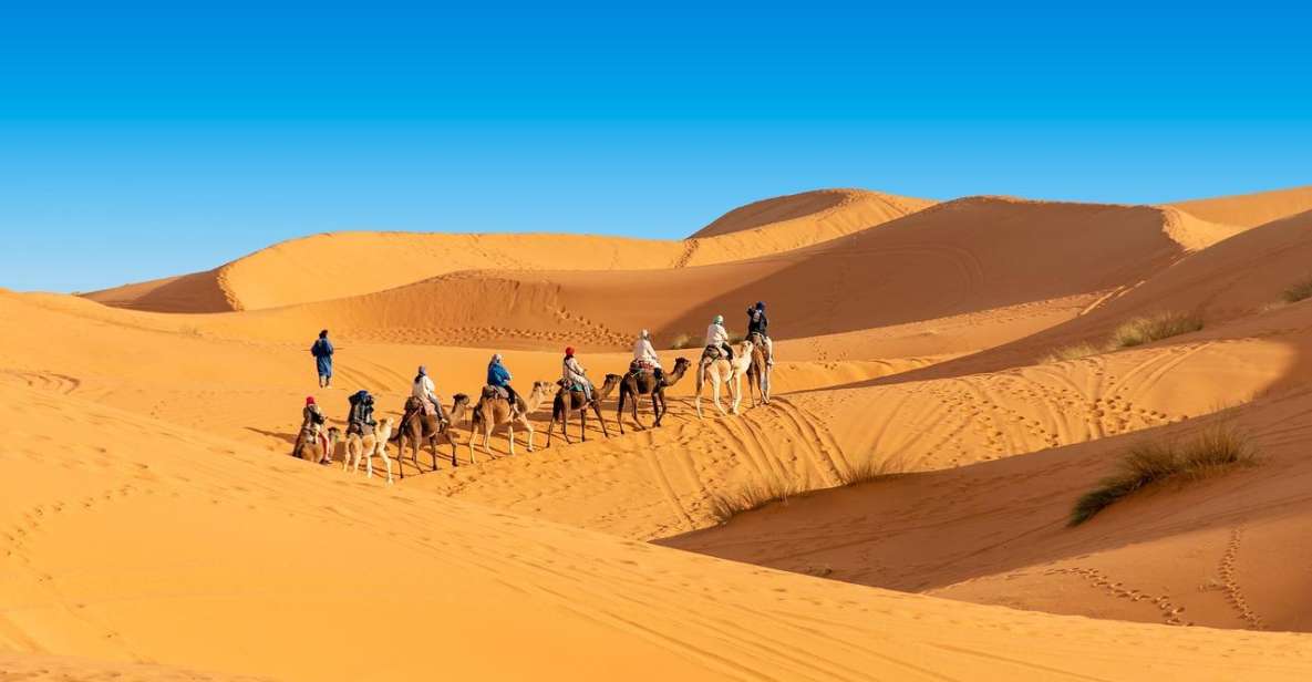 1 from ouarzazate merzouga sahara desert tour 2 days From Ouarzazate: Merzouga Sahara Desert Tour - 2 Days