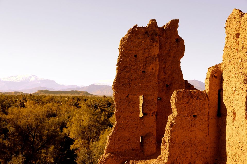 From Ouarzazate: Private Day Trip to Zagora With Camel Ride