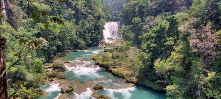 From Palenque: El Salto Waterfall Private Tour