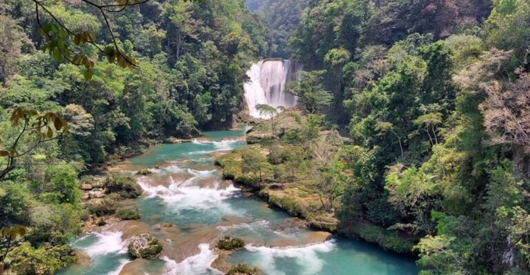 From Palenque: Roberto Barrios and El Salto Waterfalls Tour