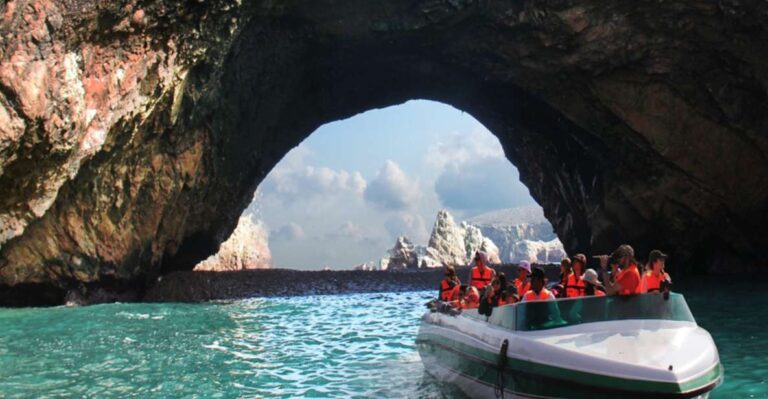 From Paracas: Ballestas Island Boat Tour With Entrances
