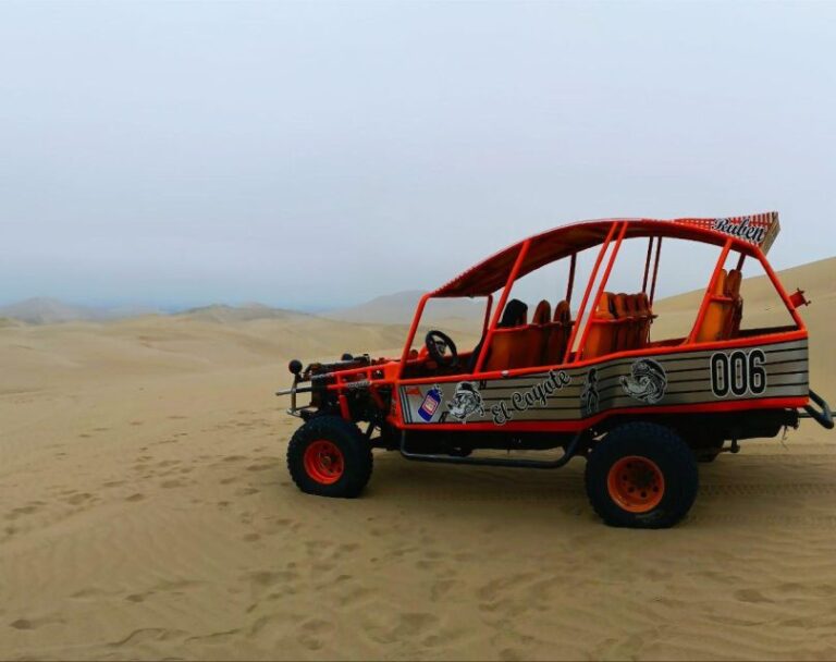 From Paracas Buggy Ride in the Southern Paracas Desert