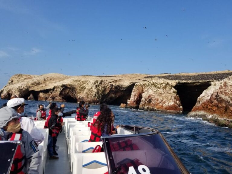 From Paracas or Pisco: Ballestas Islands Private Boat Trip