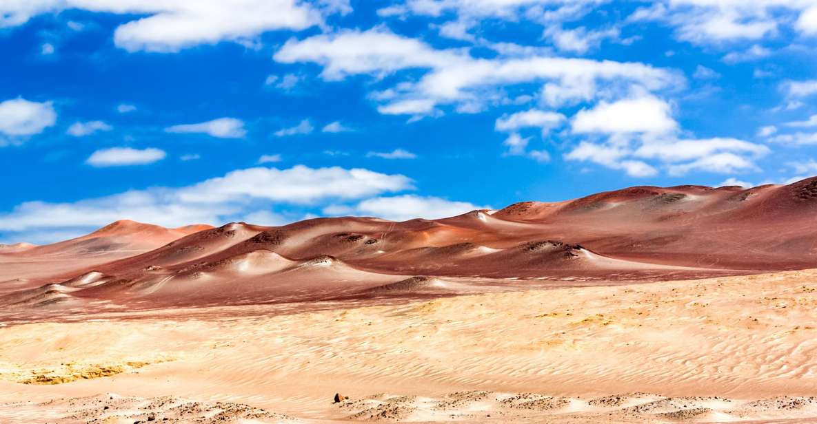 1 from paracas paracas national reserve private tour From Paracas: Paracas National Reserve Private Tour