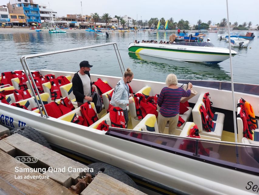 From Paracas: Scenic Boat Tour to Ballestas Island